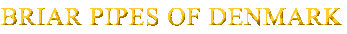 Poul Winslow Logo